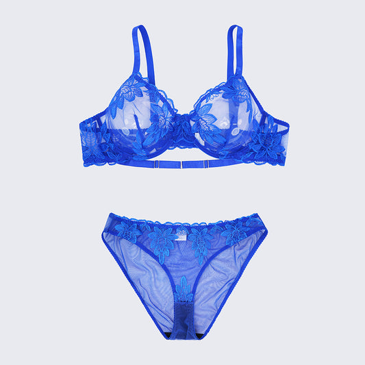 Sexy Sheer Lace Embroidered See Through Bra Panty Set