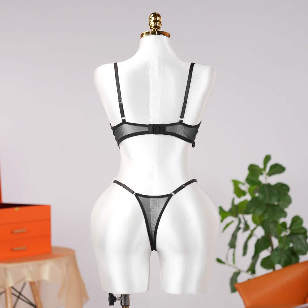 Sheer Lace Floral Embroidery Bra Panty Set