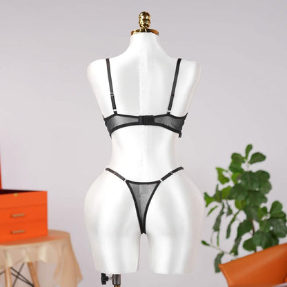 Sheer Lace Floral Embroidery Bra Panty Set