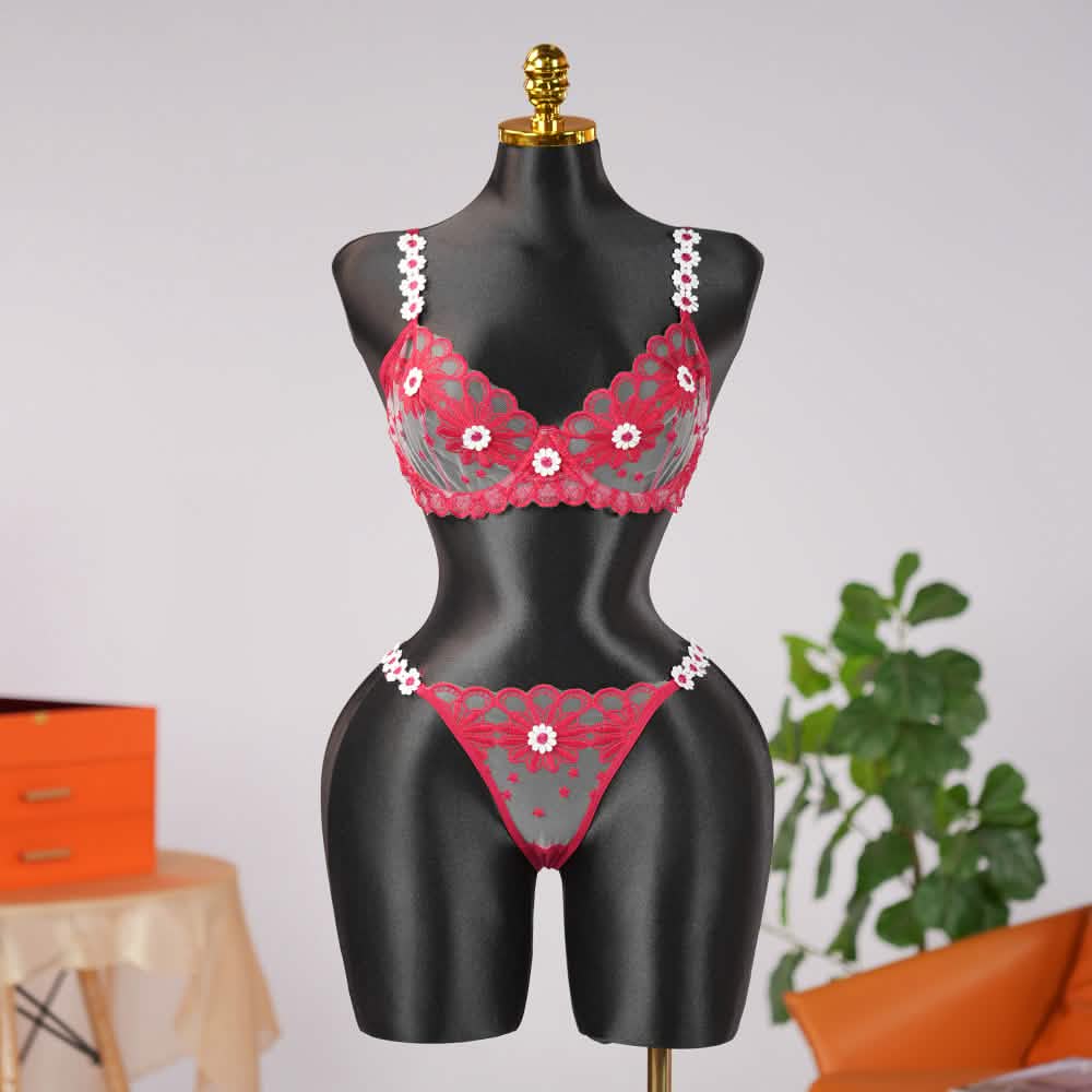 Sheer Lace Floral Embroidery Bra Panty Set