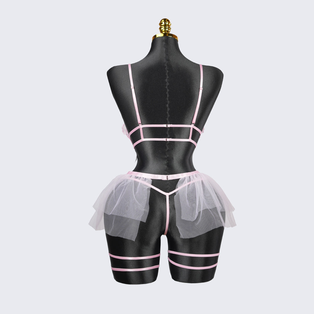 Plus Size Sheer Lace Bra Panty Set with Mesh Skirt