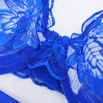 Sexy Sheer Lace Embroidered See Through Bra Panty Set