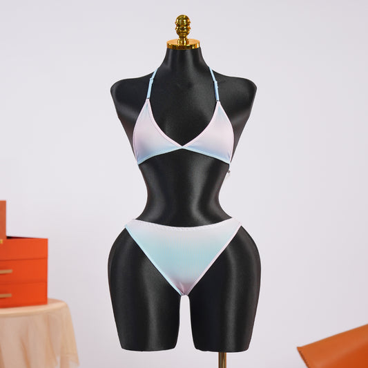 Blue Pink Gradient Bikini Bra Panty Set
