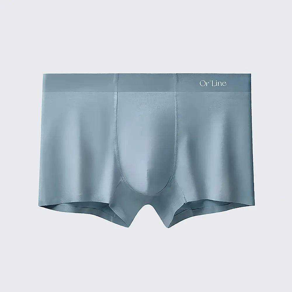 Men's 60s Modal Boxer Shorts Mid Rise Breathable Spring Summer