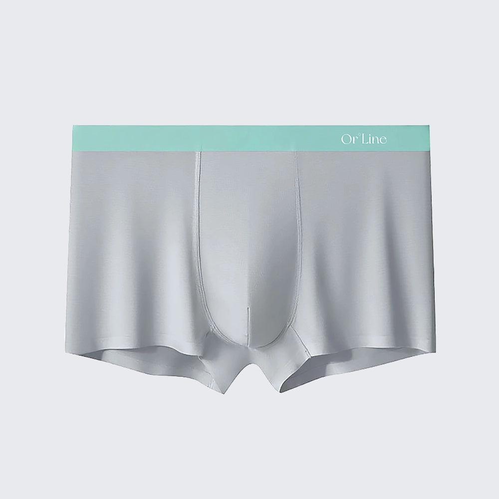 Lenzing Modal Boxer Briefs for Men Mid Rise Seamless Breathable